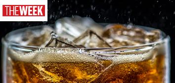 Piccadily Agro gets Rs 50 cr infusion by converting warrants into share